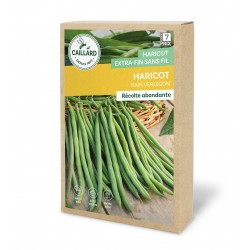 Graines Haricot Nain...