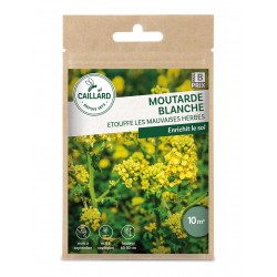 Graines Moutarde Blanche...