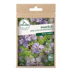 Graines Phacelie -CAILLARD