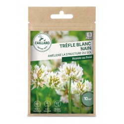 Graines Trefle Blanc Nain...