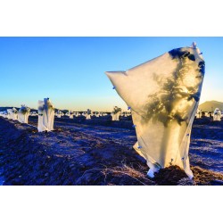 Voile d'hivernage rouleau...