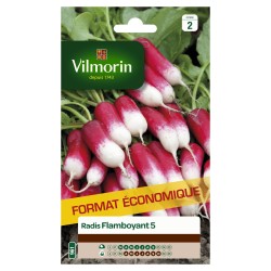 RADIS Flamboyant 5 SACHET...