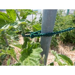 Liens crantés x16 30CM