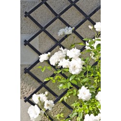 Treillage extensibles bois...