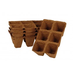 Godets biodegradable plaque...