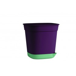 Pot aromates 1.3L-13X13...