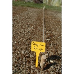 Cordeau bois 1X25M