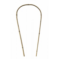 Tuteur arceau bambo...