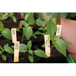 Etiquettes bois 15CM Bois...