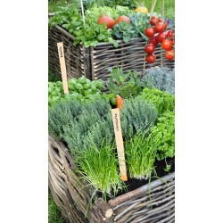 Etiquettes bois 30CM Bois...