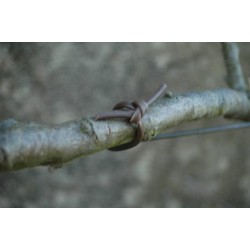 Lien souple Ø6MM-20M