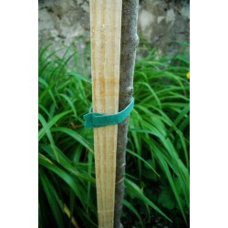 Liens predecoupes x25...