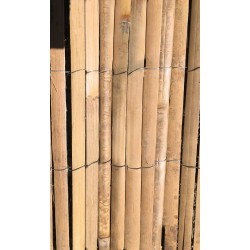 Canisse latte bambou...