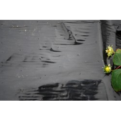 Film paillage special...