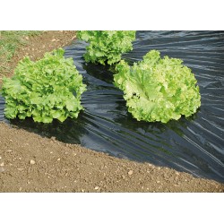 Film paillage toutes...