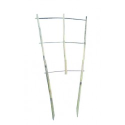Tuteurs echelle bambou...