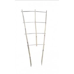 Tuteur echelle bambou...