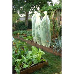 Housse de croissance...