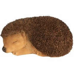 Bebe herisson dormant...