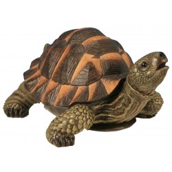 Tortue verte RIVIERA DECO...