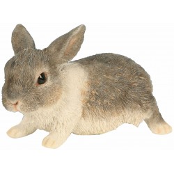 Lapereau RIVIERA DECO 16CM...