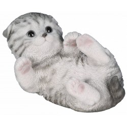 Chaton jouant RIVIERA DECO...