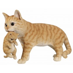 Bebe chat roux avec dans...