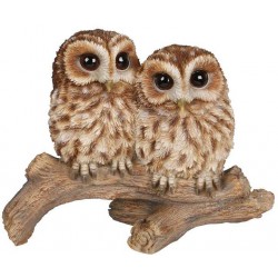 Couple bebes chouettes...