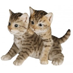 Couple chatons RIVIERA DECO...