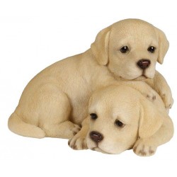 Couple bebes labrador...