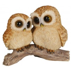 Couple bebes chouettes...