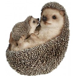 Maman et bebe herisson...