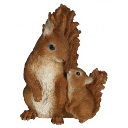 Ecureuil maman et bebe...
