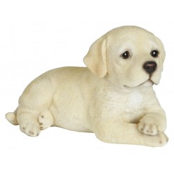 Bebe labrador couche...