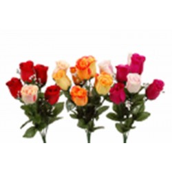 Piquet De Rose Gypsophile 3...