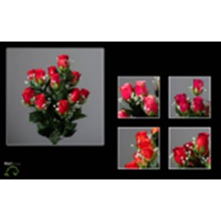 Piquet De Rose Gypsophile  H55