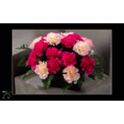 Composition Lestée 3...