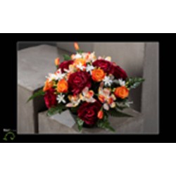 Composition Lestée  H29X33