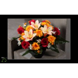 Composition Lestée  H27X32