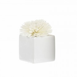 Fleur De Goatier Blanc...