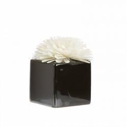 Fleur De Goatier Noir 80Ml-GOA