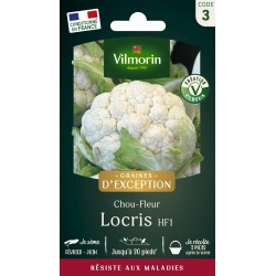 VILMORIN GRAINES...