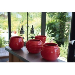 Pot assorti LES PETIOTS Ø10...