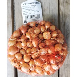 Oignon STUTTGARTER RIESEN...