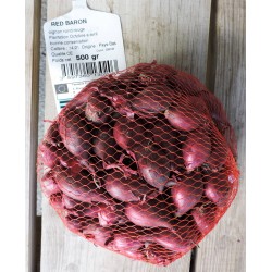Oignon Rouge RED BARON...