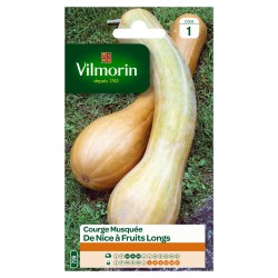VILMORIN COURGE Musquée De...