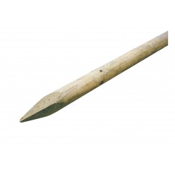 Tuteur Ø6-H100 PIN...