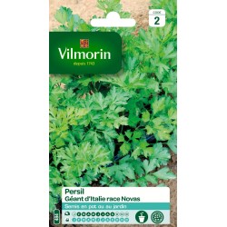 PERSIL Géant d'italie race...