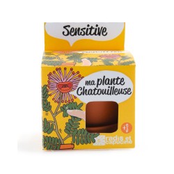 RADIS&CAPUCINE Ma plante...