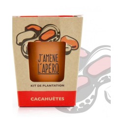 RADIS&CAPUCINE KIT MESSAGE...